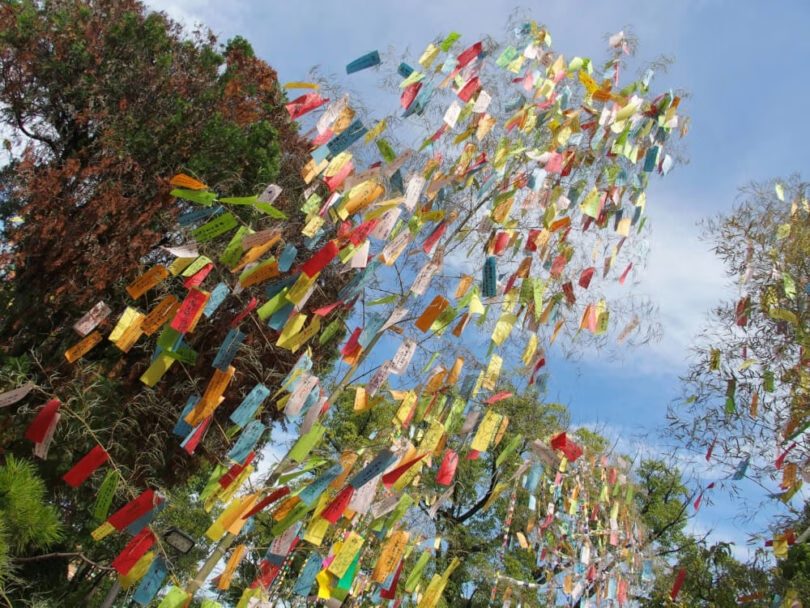 七夕そうめんの由来｜素麺を主食にした夕食の献立｜羊羹も食べる？